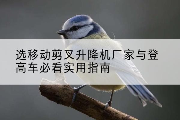 清流电动升降机厂家-选移动剪叉升降机厂家与登高车必看实用指南