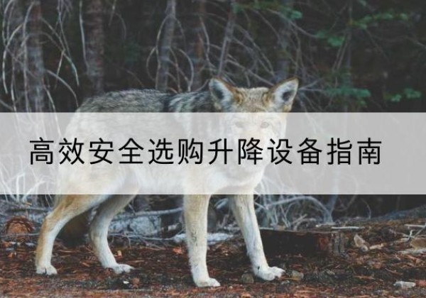 清流升降货梯厂家推荐-*安全选购升降设备指南