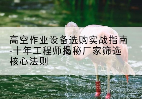 清流剪叉式升降机厂家-高空作业设备选购实战指南-十年工程师揭秘厂家筛选核心法则